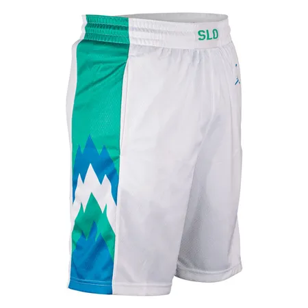 DALLAS MAVERICKS JORDAN BRAND SLOVENIA SWINGMAN SHORTS